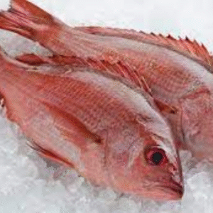 mila dual pocket pant