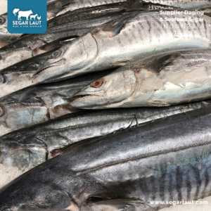 serenity silver watch