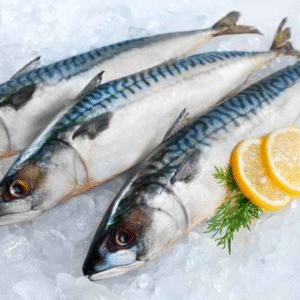 dora black gradient eyewear