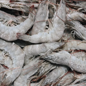 solla outdoor sunglasses